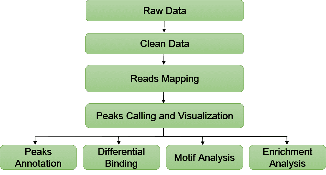 MeRIP Sequencing