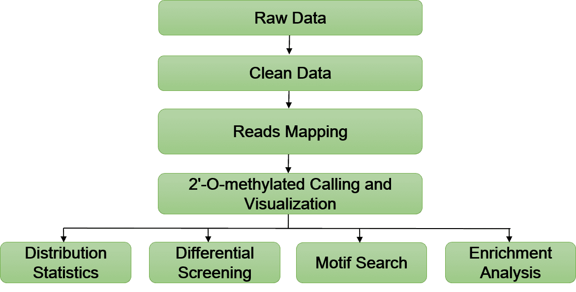 2-O-Methylation Sequencing