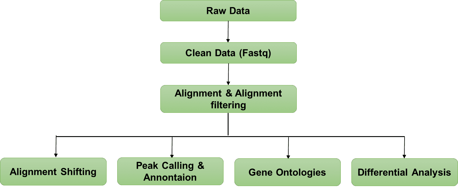 ATAC Sequencing