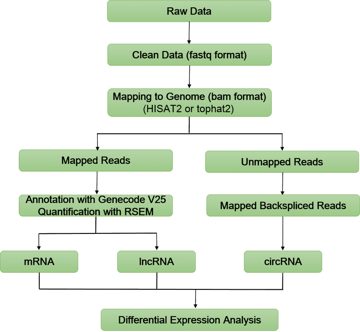 Bioinformatics Analysis Pipeline