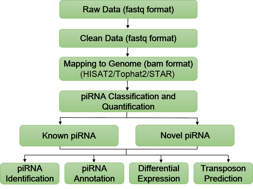 Bioinformatics Analysis Pipeline