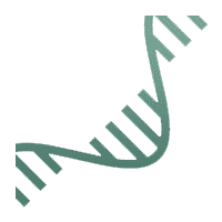 Exosome RNA Sequencing